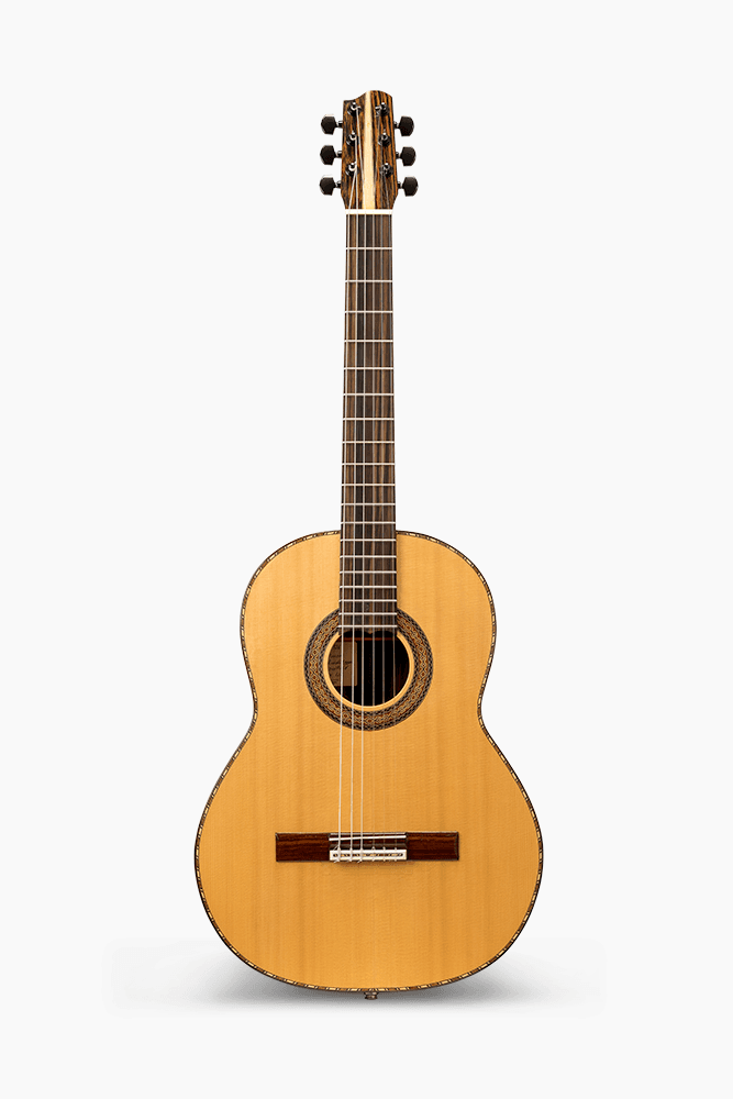 Egger guitars instrument