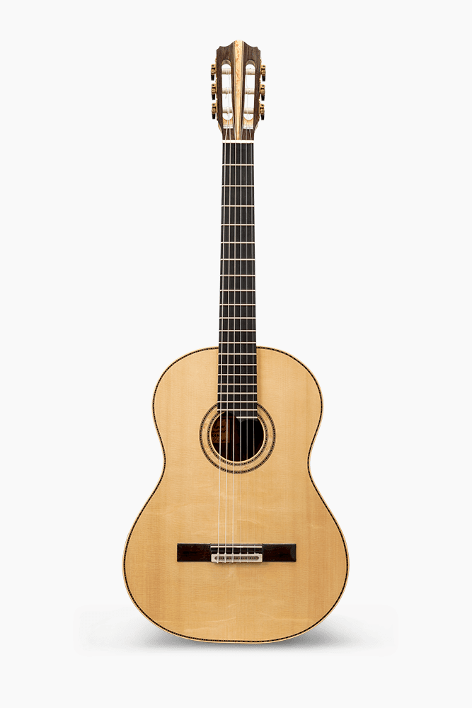 Egger guitars instrument