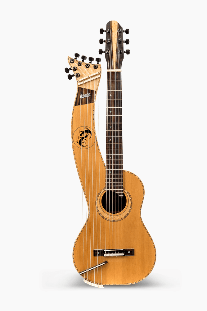 Egger guitars instrument